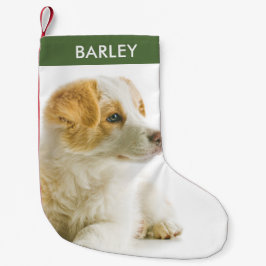 Calcetín Navideño Pequeño Foto personalizada de perro imagen de mascota