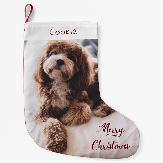 Calcetín Navideño Pequeño Foto personalizada de perro lindo moderno (Anverso)