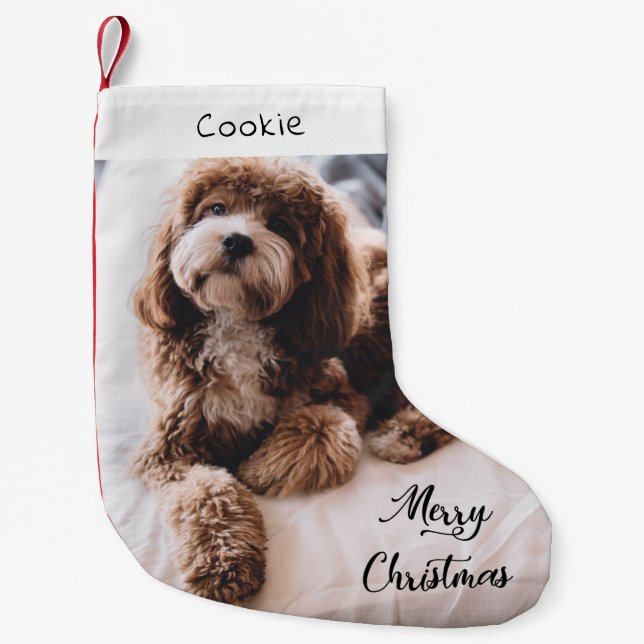 Calcetín Navideño Pequeño Foto personalizada de perro lindo moderno (Anverso)