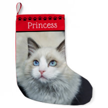 Foto y nombre del gato | Impresiones negras de la