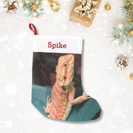 Calcetín Navideño Pequeño Foto y nombre Mascota de Lizard Lover Personalizad