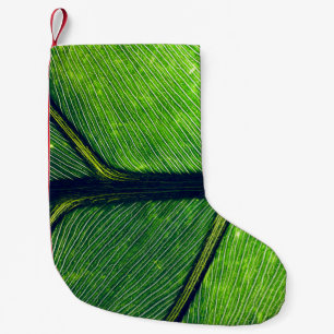 Calcetín Navideño Pequeño Fotografía macro de hoja verde