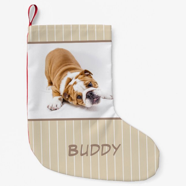 Calcetín Navideño Pequeño Fotografía personalizada por perros (Anverso)