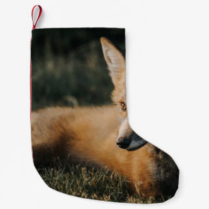 CALCETÍN NAVIDEÑO PEQUEÑO FOX MARRÓN SOBRE EL TERRENO