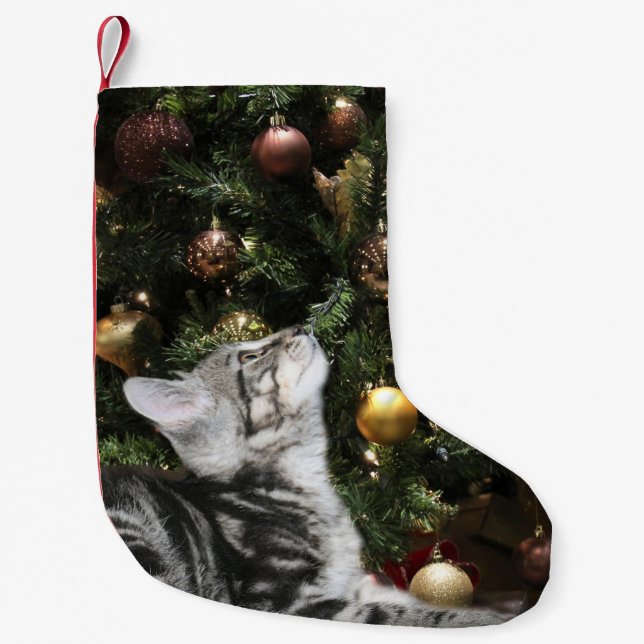 Calcetín Navideño Pequeño Gatito del Tabby (Anverso)