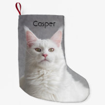 Gato Fluffy White Maine Personalizado
