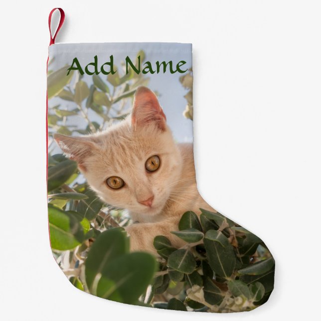 Calcetín Navideño Pequeño Gato gato lindo escalando en un árbol de eucalipto (Anverso)