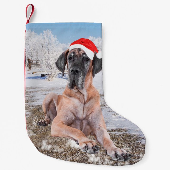 Calcetín Navideño Pequeño Gran Perro De Azulejos Sentado En Gorra De Navidad (Anverso)