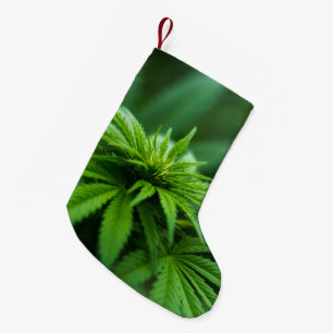 Calcetín Navideño Pequeño Hermosa hierba