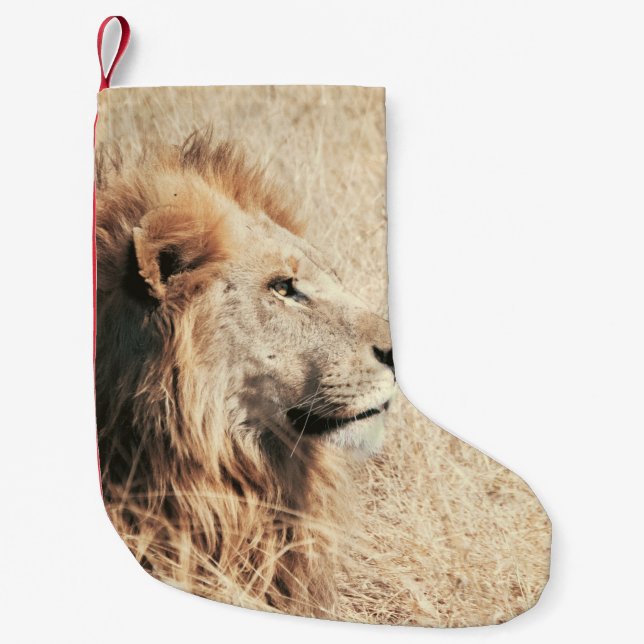 CALCETÍN NAVIDEÑO PEQUEÑO HERMOSO LEÓN (Anverso)