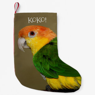 Calcetín Navideño Pequeño Hermoso loro caique blanco belmentado posando