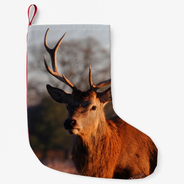 CALCETÍN NAVIDEÑO PEQUEÑO HI DEER (Anverso)