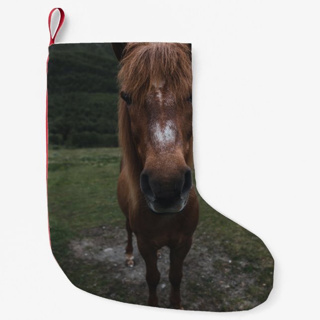 CALCETÍN NAVIDEÑO PEQUEÑO HOLA SOY UN CABALLO (Anverso)