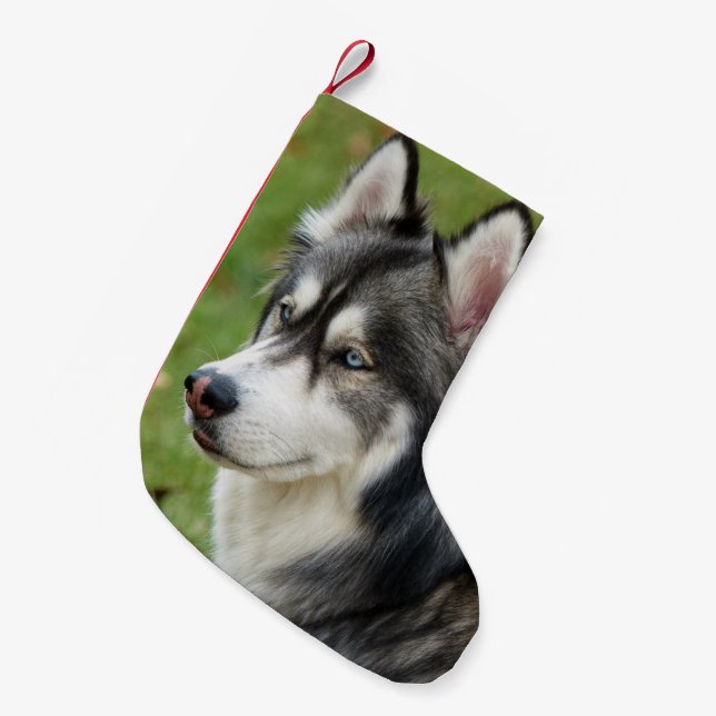 Calcetín Navideño Pequeño Husky (Frente (Colgado))