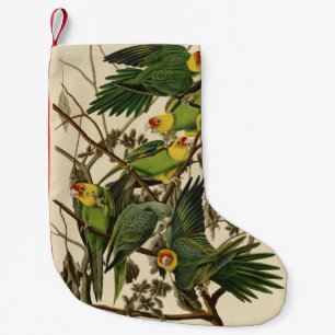 Calcetín Navideño Pequeño Ilustracion Audubon Carolina Parrot Bird