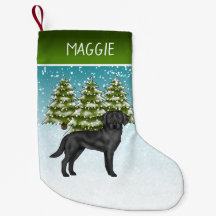 Labrador Retriever Negro Bosque Invernal Nombre Pe