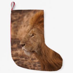 CALCETÍN NAVIDEÑO PEQUEÑO LEÓN DE LARGO MANDO