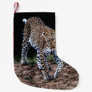 CALCETÍN NAVIDEÑO PEQUEÑO LEOPARD CAMINANDO EN SALVAJE