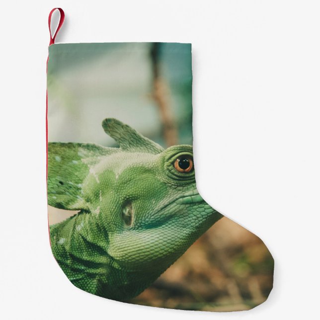 Calcetín Navideño Pequeño Lizard watch visual de cerca (Anverso)