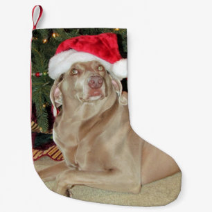 Calcetín Navideño Pequeño Lluvia - El Perro de Weimaraner - Navidades Alzán
