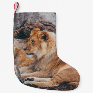 CALCETÍN NAVIDEÑO PEQUEÑO LONES Y LONES EN LA SUPERFICIE MARRONA