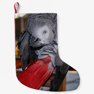 Calcetín Navideño Pequeño Loro gris africano flexible del Congo con cola roj