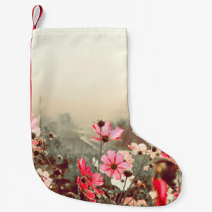 Calcetín Navideño Pequeño Luz matutina, cosmos rosados florecientes.