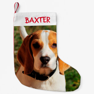Calcetín Navideño Pequeño Mascota Beagle Dog Photo Personalizada
