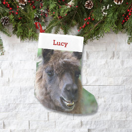 Calcetín Navideño Pequeño Mascota Llama Lover dueño foto y nombre personaliz