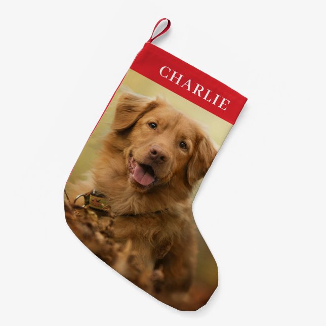 Calcetín Navideño Pequeño Mascota personalizado de foto de perro personaliza (Frente (Colgado))