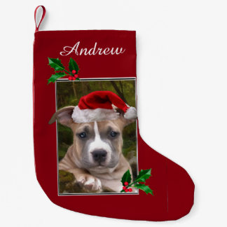 Calcetín Navideño Pequeño Media personalizada perrito del pitbull del