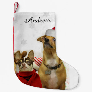 Calcetín Navideño Pequeño Media personalizada perros de la chihuahua del