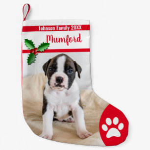 Calcetín Navideño Pequeño Medias lindas del navidad del perro - familia