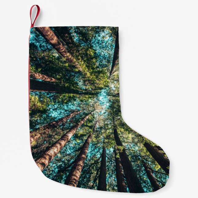 CALCETÍN NAVIDEÑO PEQUEÑO MIRANDO HACIA ARRIBA (Anverso)