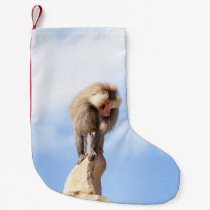 Calcetín Navideño Pequeño Mono babuino en la cima de una montaña