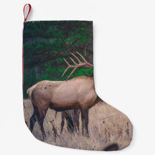 CALCETÍN NAVIDEÑO PEQUEÑO MOSCA MARRONA CERCA DE ÁRBOL VERDE A LA HORA DEL D