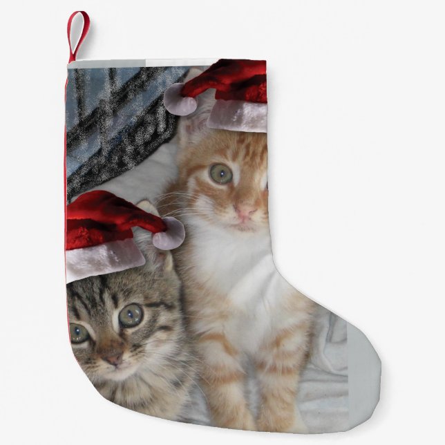 Calcetín Navideño Pequeño Navidades adorables gatos tabby (Anverso)