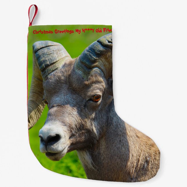 Calcetín Navideño Pequeño Navidades Alzando A Mi Querido Amigo Viejo (Anverso)