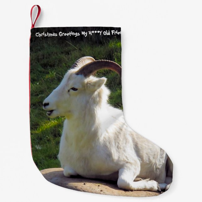 Calcetín Navideño Pequeño Navidades Alzando A Mi Querido Amigo Viejo (Anverso)