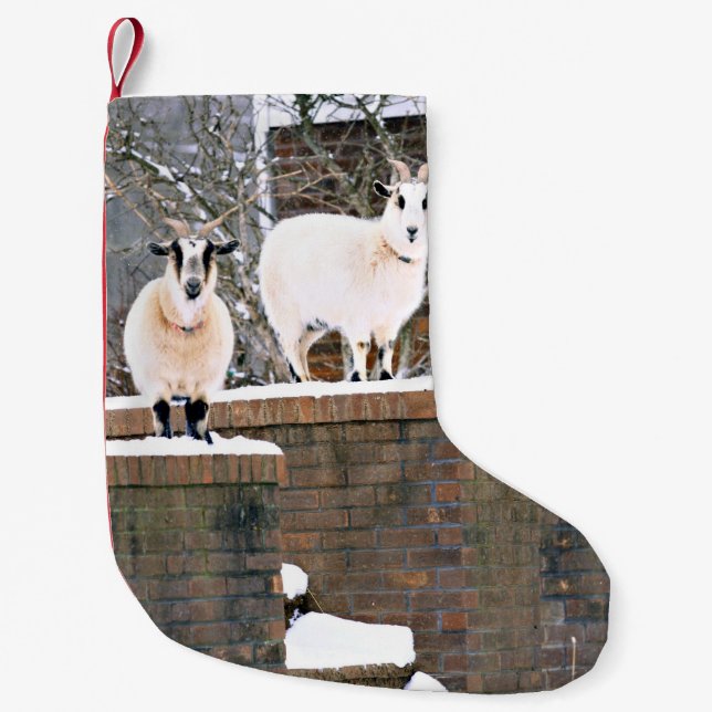 Calcetín Navideño Pequeño Navidades cabras (Anverso)