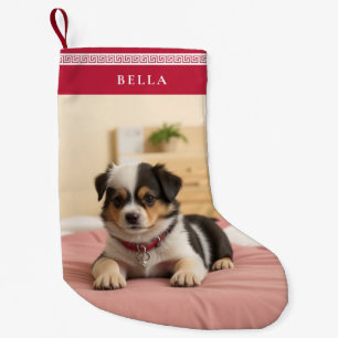 Calcetín Navideño Pequeño Navidades Cuidados Personalizado Nombre Mascota Fo