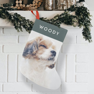 Calcetín Navideño Pequeño Navidades de fotografía mascota Perro verde fore