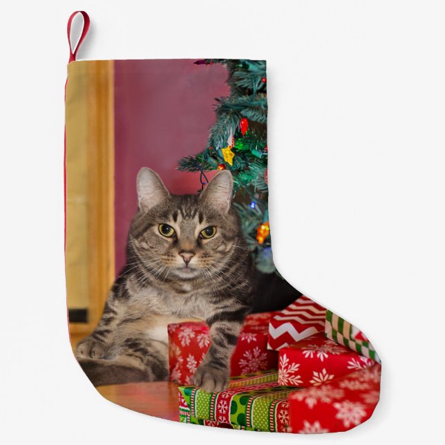 Calcetín Navideño Pequeño Navidades de gatitos tabby (Anverso)