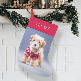 Calcetín Navideño Pequeño Navidades de perros | Foto moderna de Mascota rojo