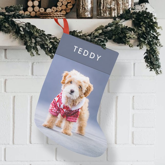 Calcetín Navideño Pequeño Navidades de perros | Moderna foto Mascota azul du (Subido por el creador)