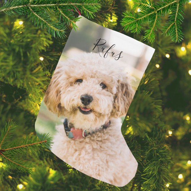 Calcetín Navideño Pequeño Nombre de mascota personalizado y foto (Personalized Pet Name and Photo Small Christmas Stocking)
