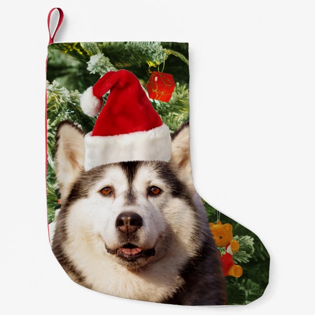 Calcetín Navideño Pequeño Ornamento de árbol de navidad siberiano Husky Snow (Anverso)