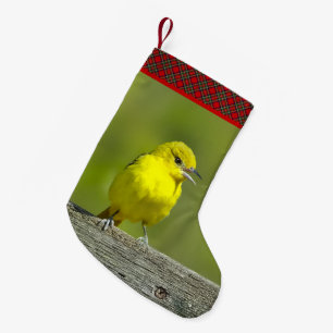 Calcetín Navideño Pequeño Ortolano Oriol - Fotografía Original