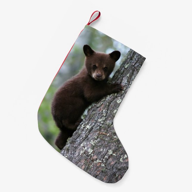 Calcetín Navideño Pequeño Oso Cub que sube un árbol (Frente (Colgado))