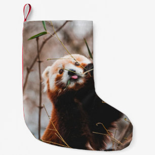CALCETÍN NAVIDEÑO PEQUEÑO OSO CUTE KOALA